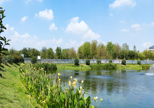 河湖、尾水濕地治理