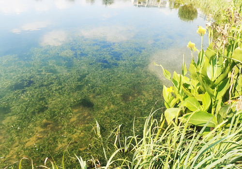 土壤及地下水修復