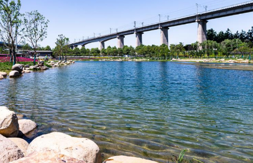 南京明外郭-秦淮河風(fēng)光帶高橋門節(jié)點(diǎn)生態(tài)濕地